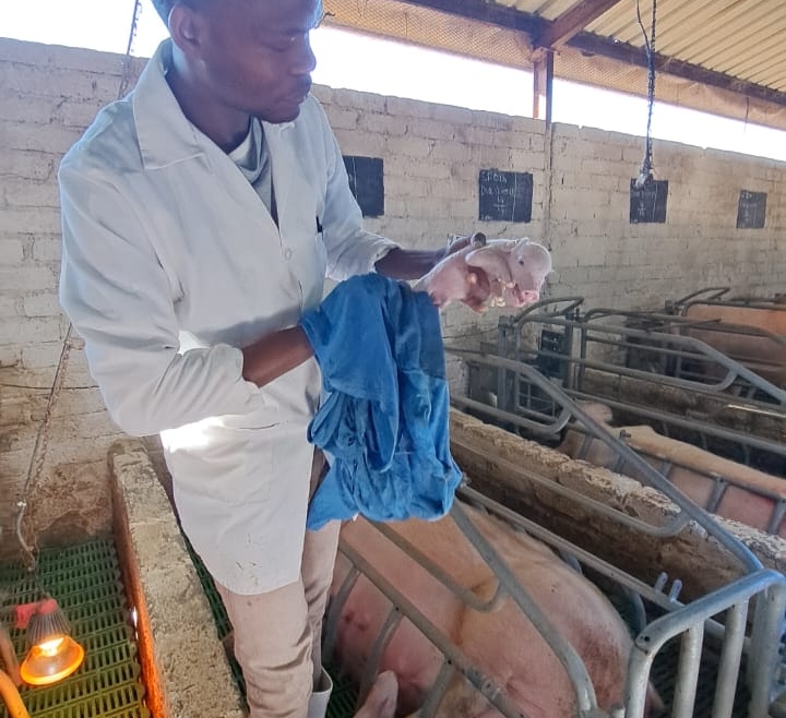 Agri Sales and Services