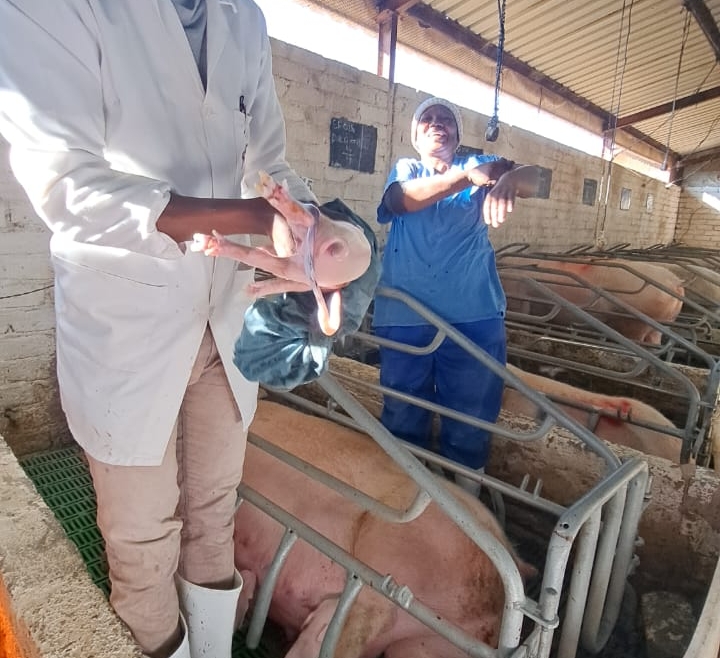 Agric Sales and Services