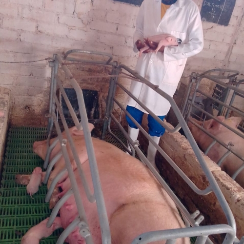 WhatsApp Image 2023-05-18 at 1