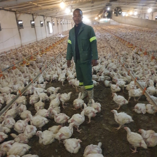 WhatsApp Image 2023-06-08 at 10.08.59