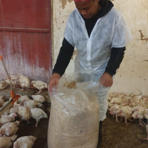 WhatsApp Image 2023-06-13 at 14.52.01